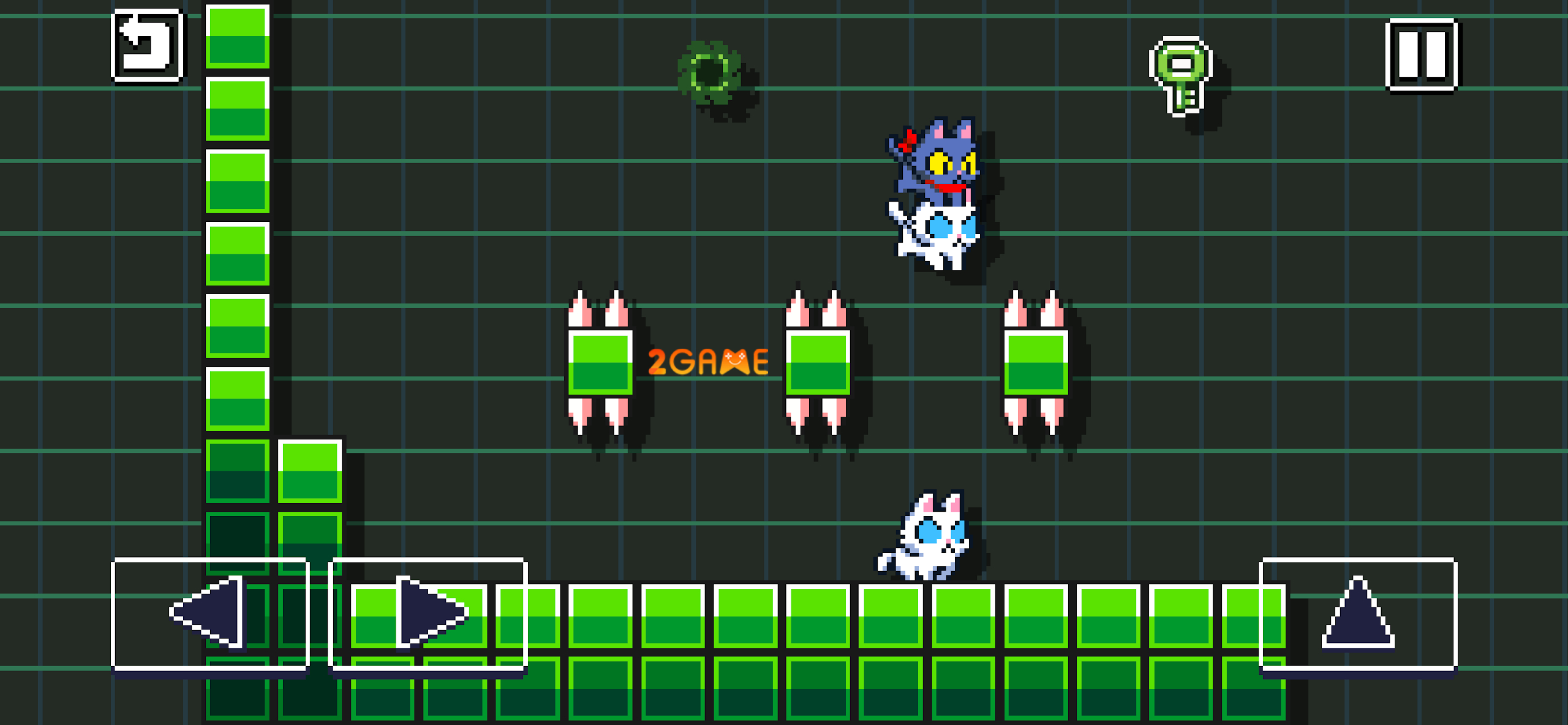 copy-cats-4