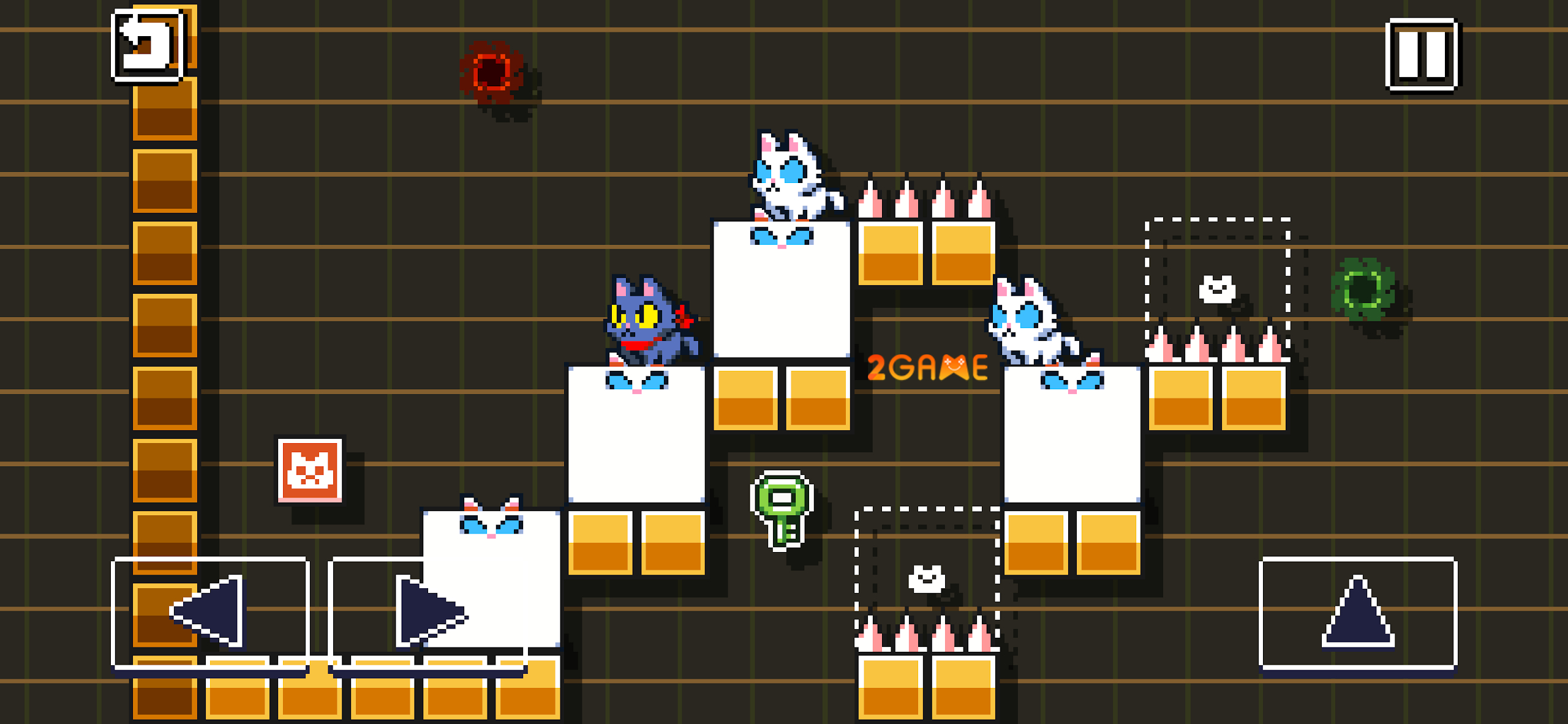 copy-cats-8